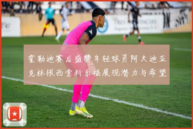 霍勒迪赛后盛赞年轻球员阿夫迪亚克林根西索科乐福展现潜力与希望