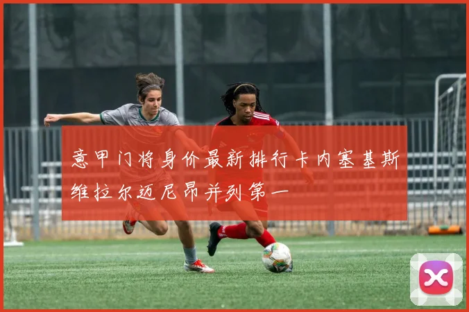 意甲门将身价最新排行卡内塞基斯维拉尔迈尼昂并列第一